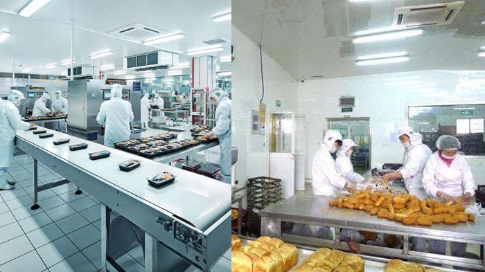 食品加工廠房潔凈車間裝修設計和建設結(jié)論